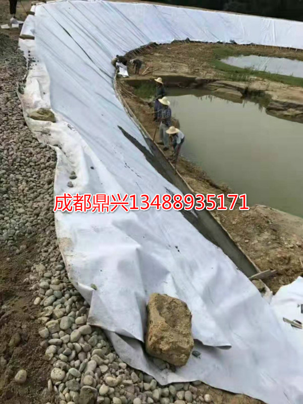 復合土工膜