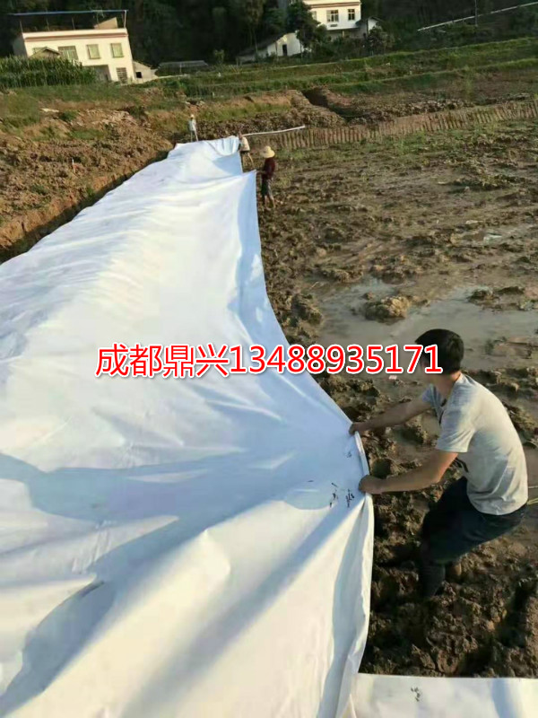 復合土工膜